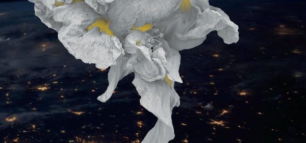 Fault Zone: Faultless? (front cover)