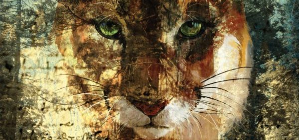 Incident at Cougar Creek (front cover)